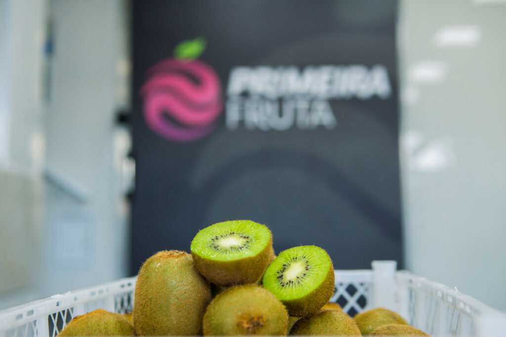 Primeira Fruta - Sobre
