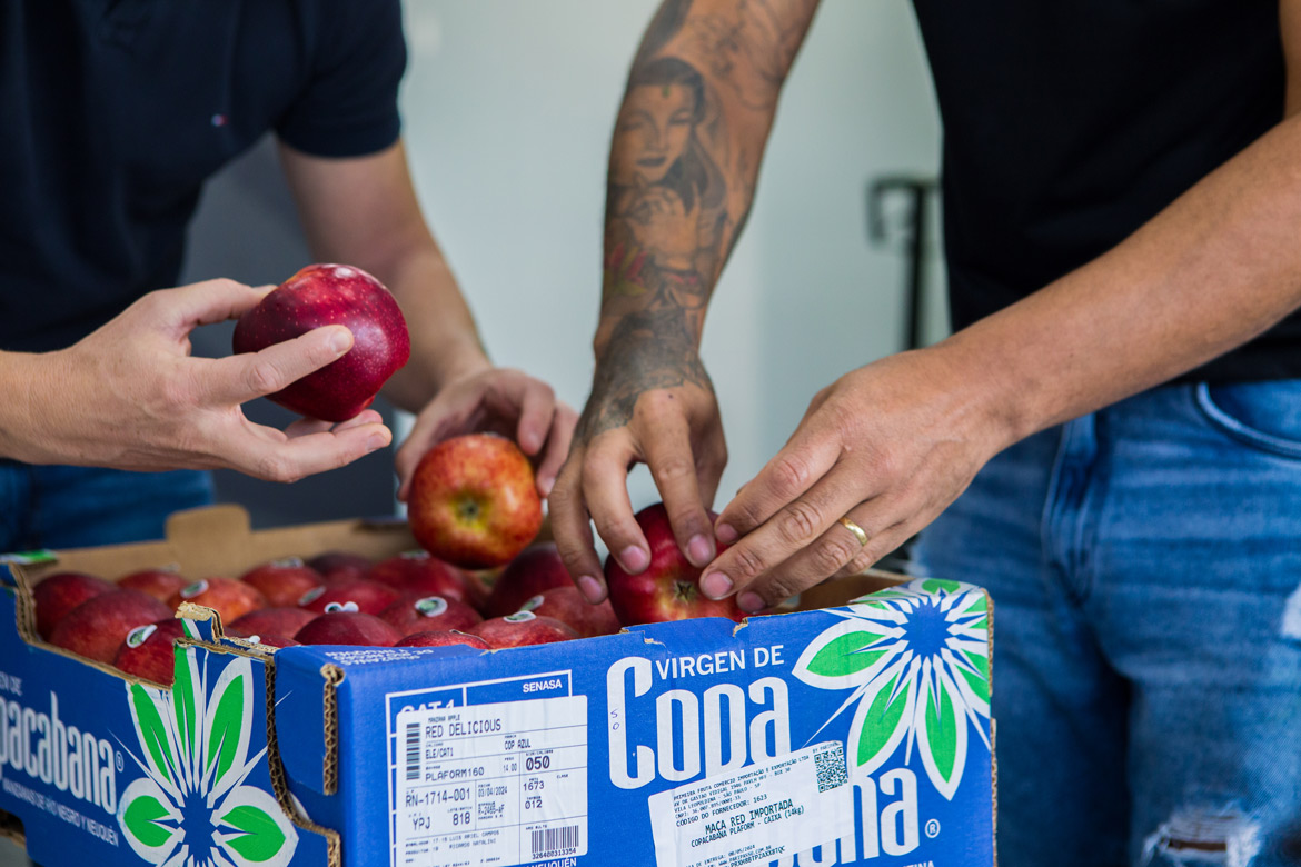 Importação Primeira Fruta