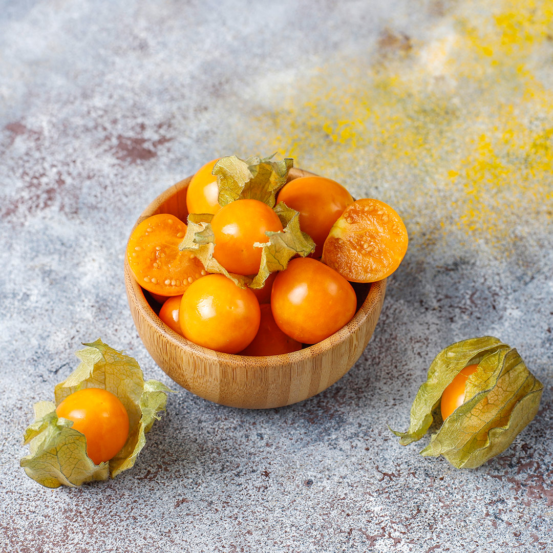 Physalis
