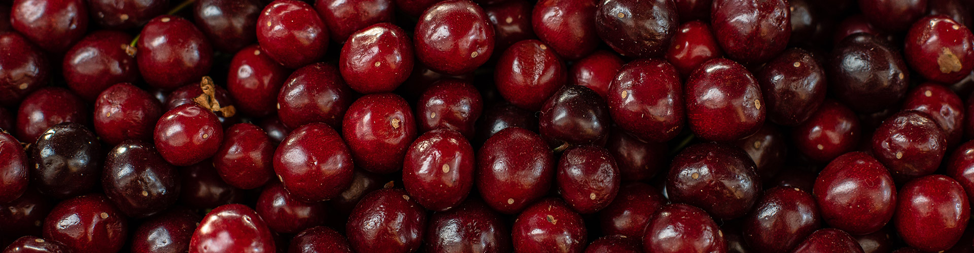Cerejas